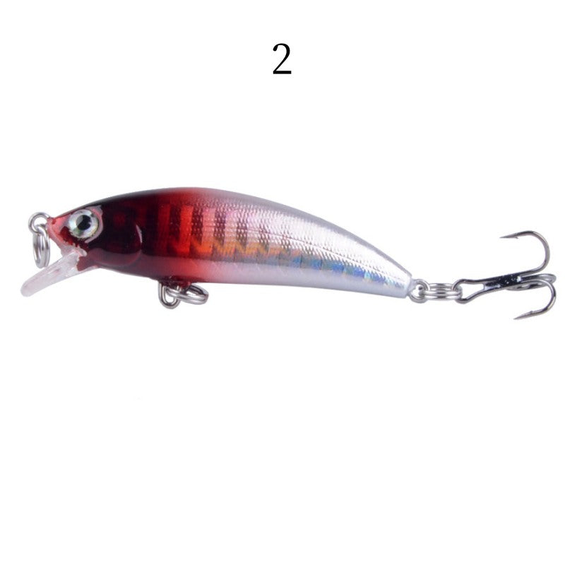 2 pcs 5.5cm 4.6g underwater minnow lure